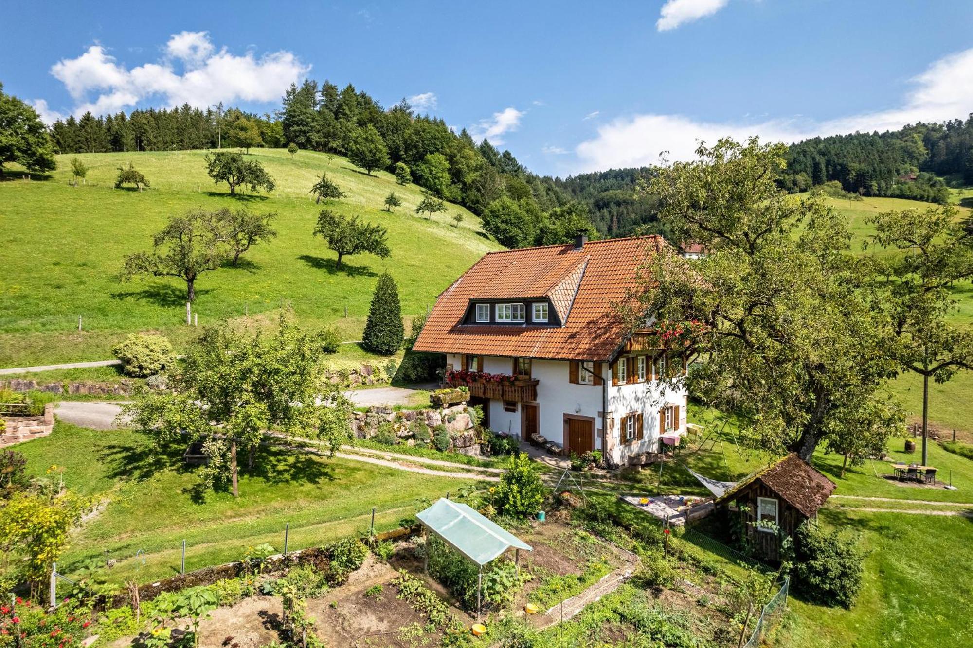 Ferienhaus Vollmer Nordrach Экстерьер фото